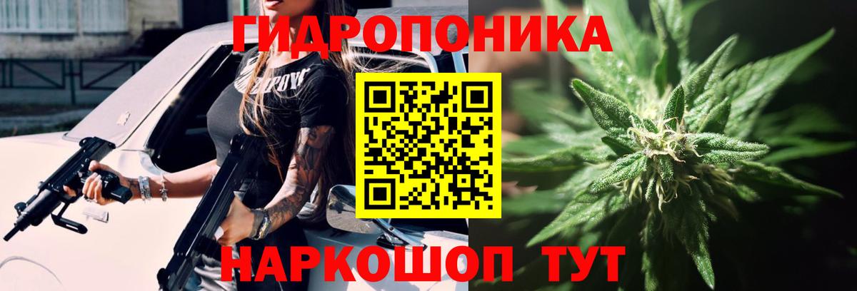 Марихуана марихуана  Шишки марихуана конопля  МАРИХУАНА тримм  Вход с VPN  Волгодонск 